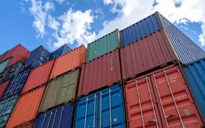 Optimizing E-Commerce Strategy Balancing Organic and Paid Search